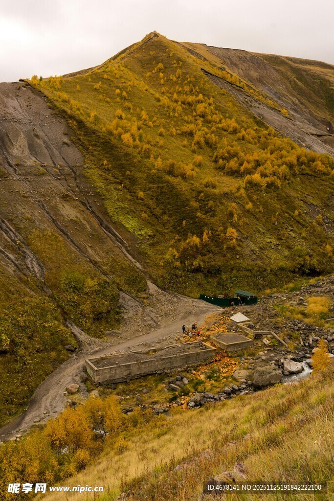 山间秋景金黄植被与蜿蜒路