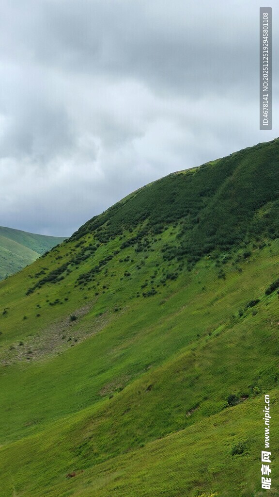 翠绿山峦云雾缭绕美景