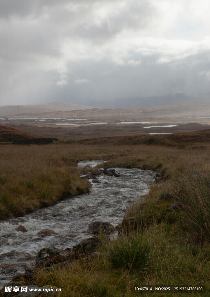 旷野中的潺潺溪流