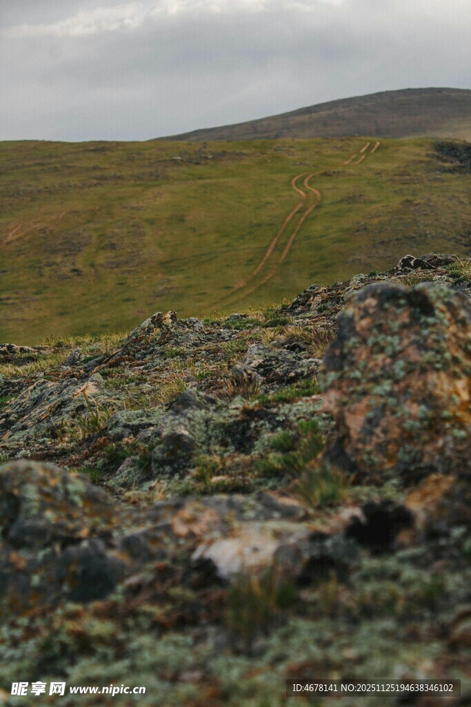 荒野中的多彩地衣景观
