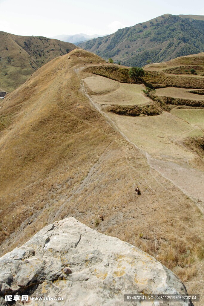 黄土山丘间的开阔地貌