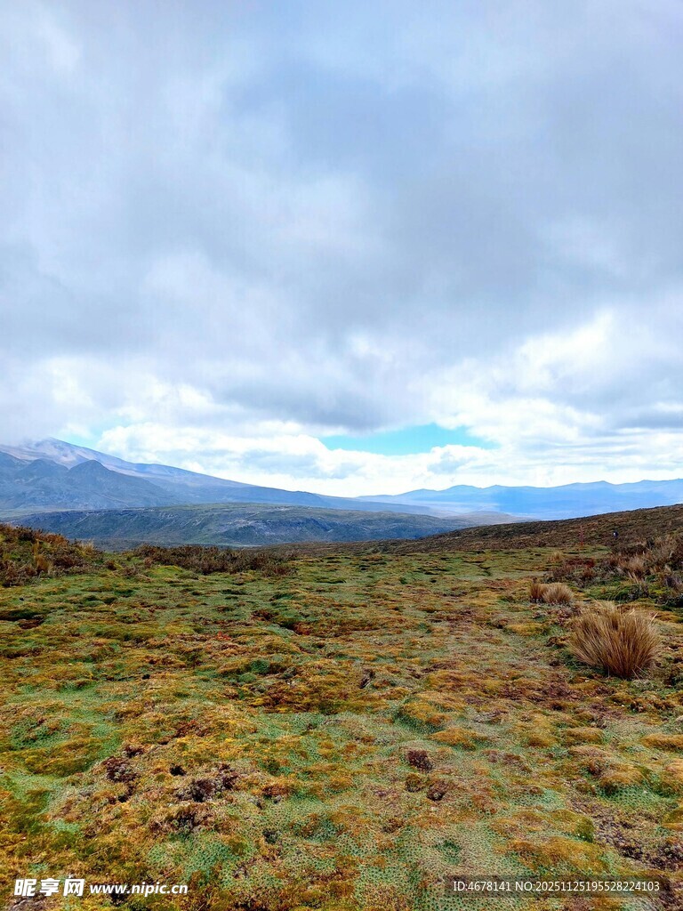 广袤原野与远处山峦景观