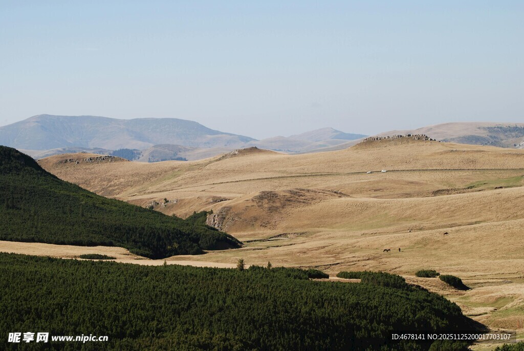 广袤山丘间的黄绿景观
