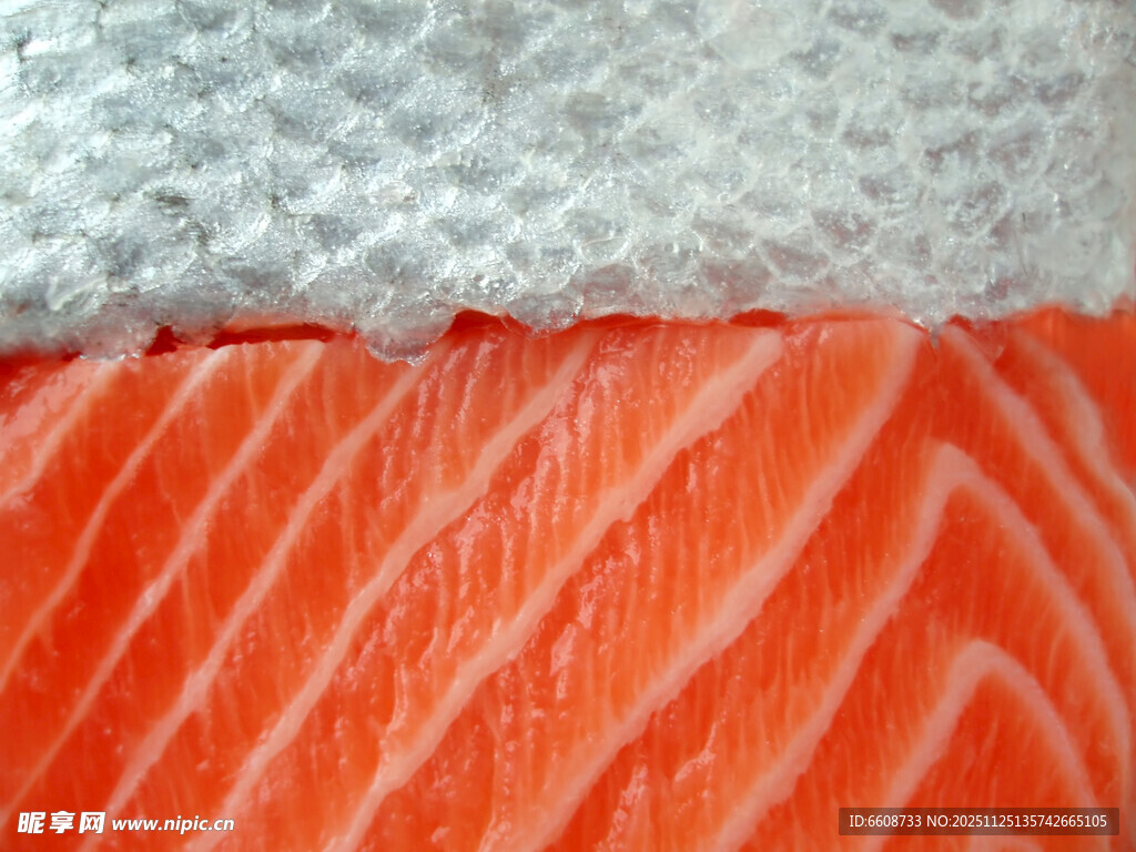 新鲜三文鱼切片