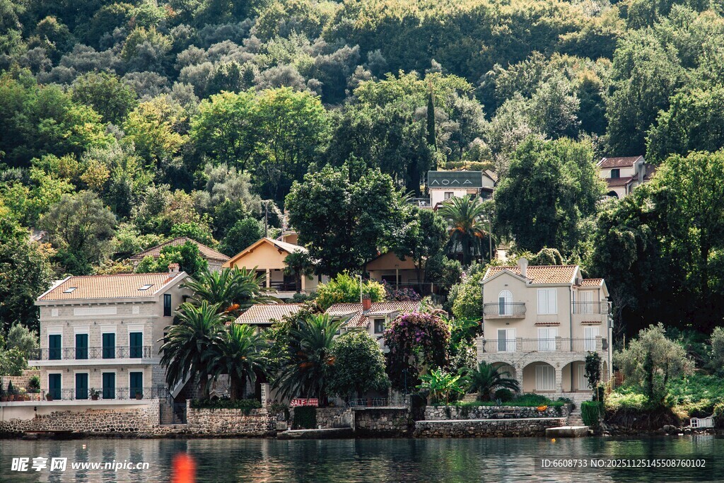 湖畔绿树环绕的美丽建筑