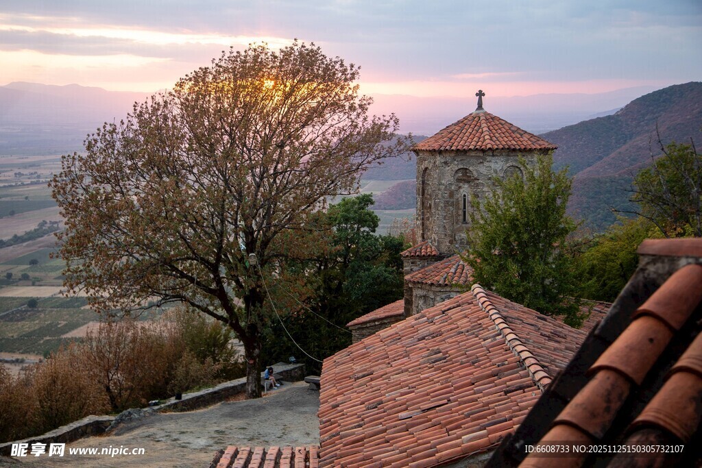 乡村黄昏下的屋顶与孤树