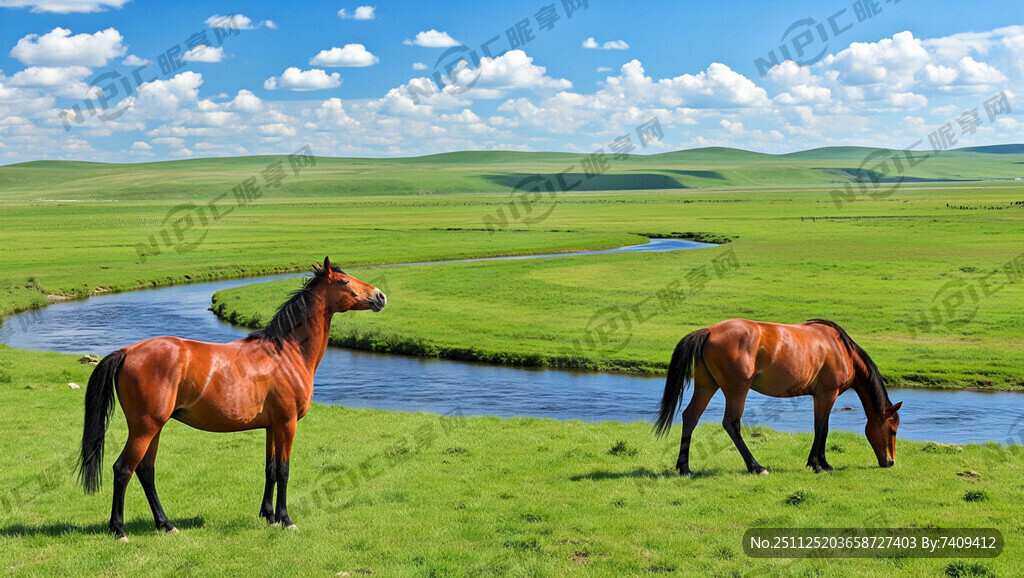 绿色大草原 草全是绿色的
