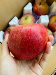 苹果