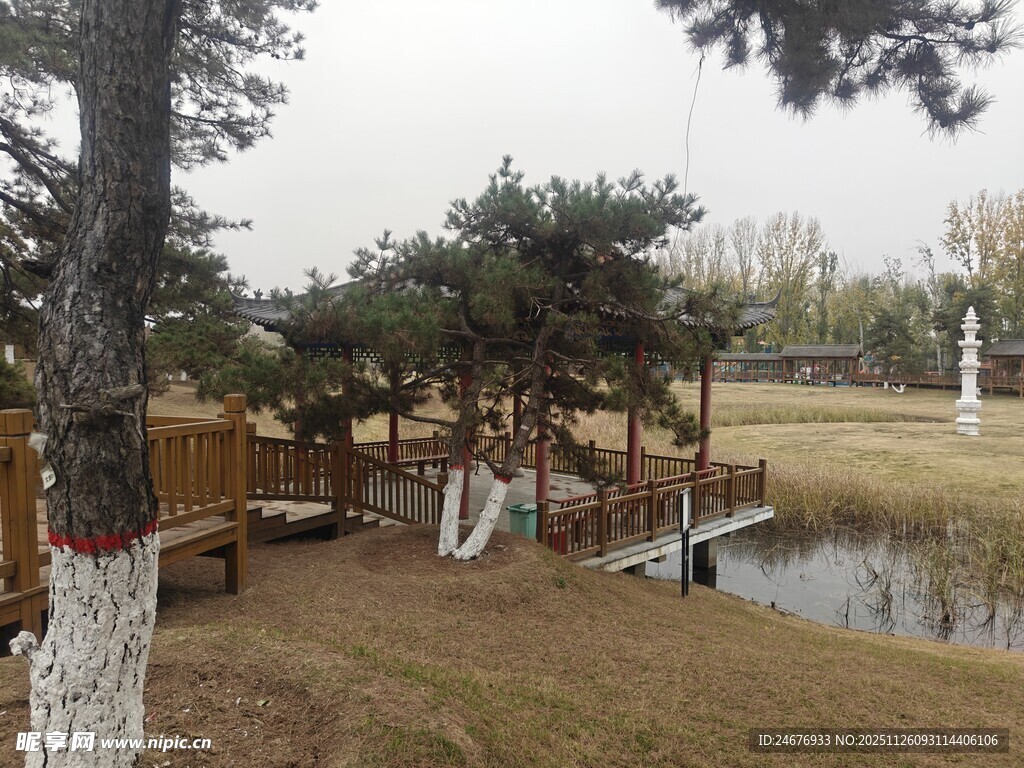 湖畔林间休闲景致