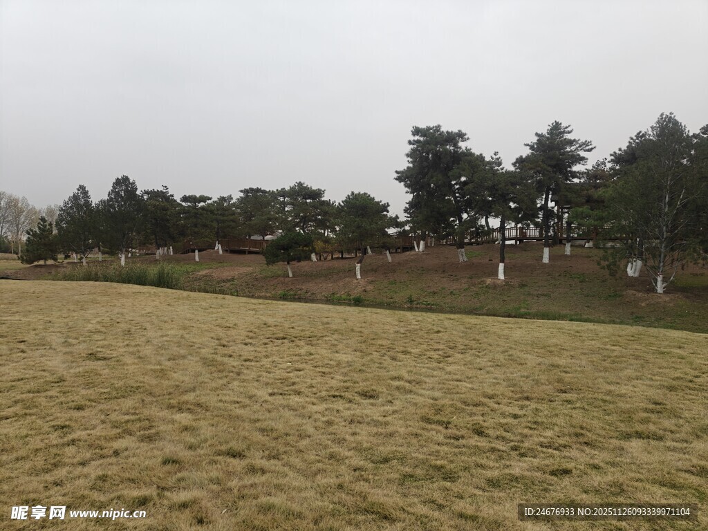 空旷田野与远处树木景观