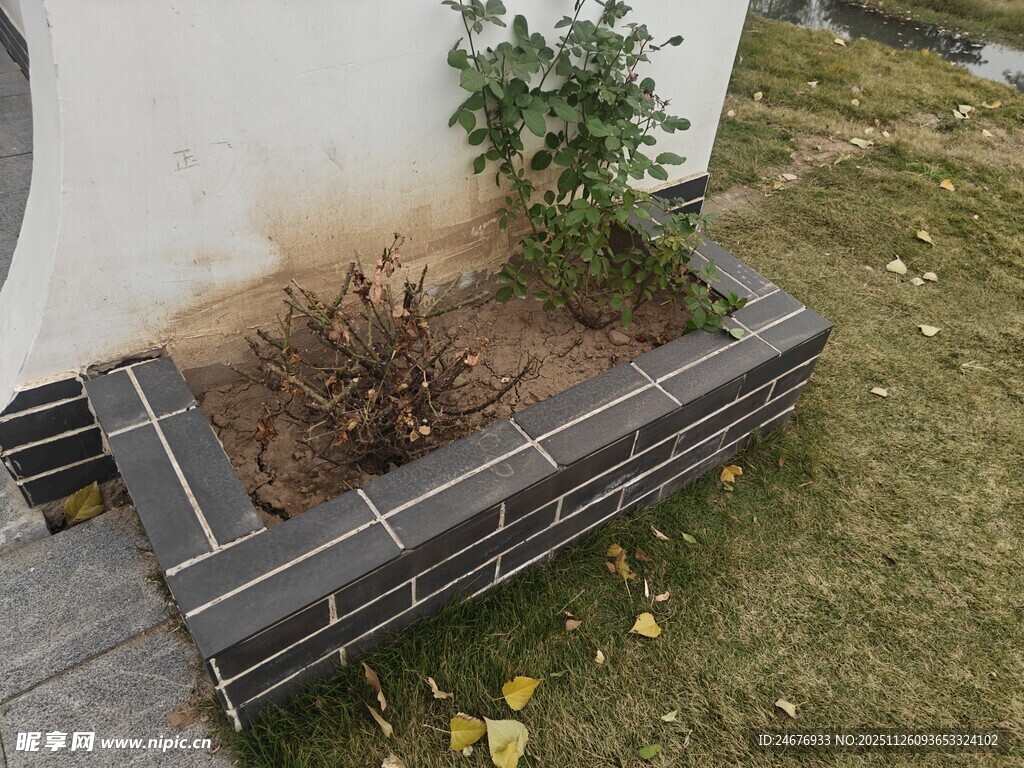 户外方形砖砌植物种植区