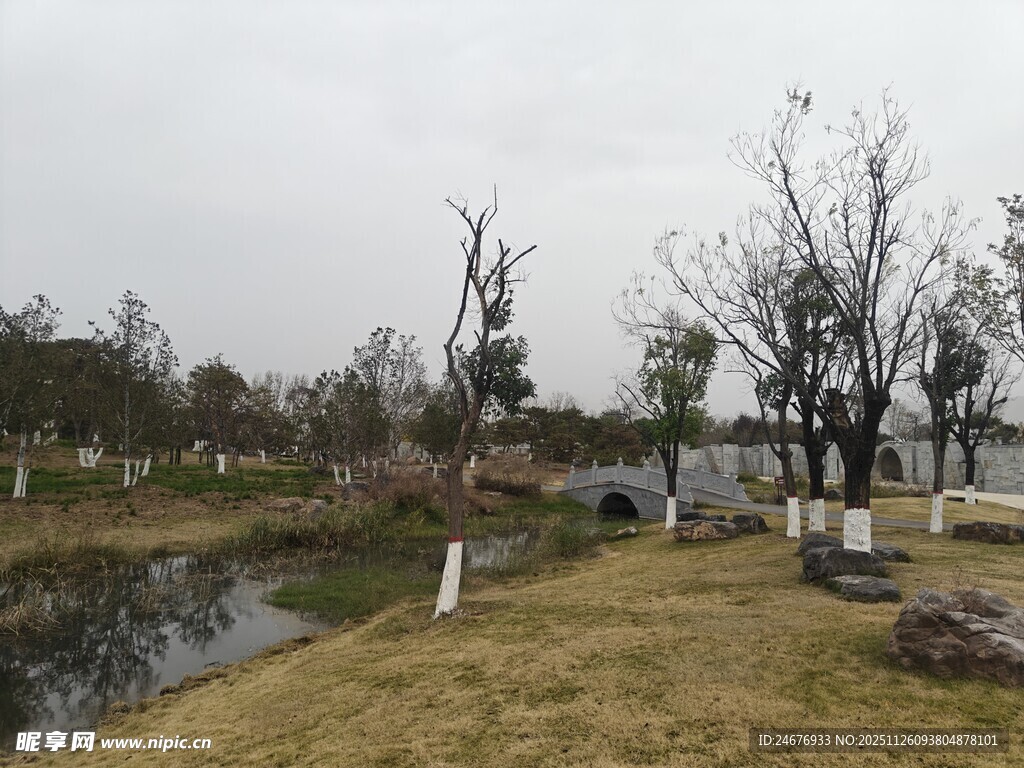 冬日公园湖畔萧瑟景致
