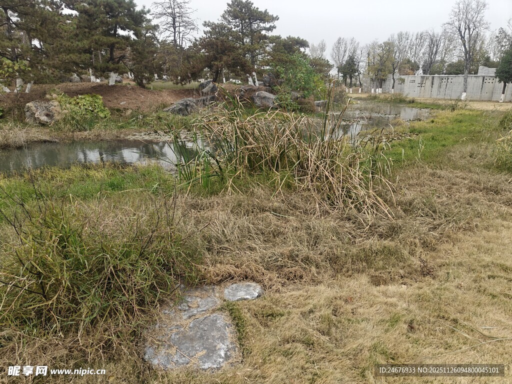 冬日郊野湿地景观