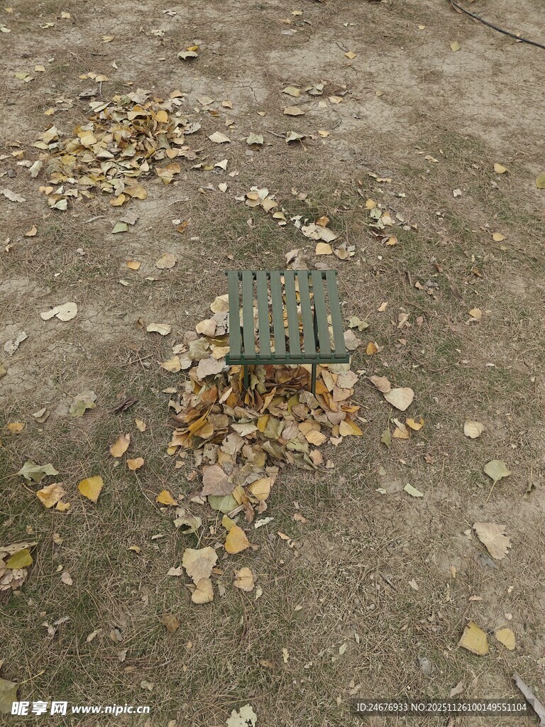 地面上的金属井盖与落叶