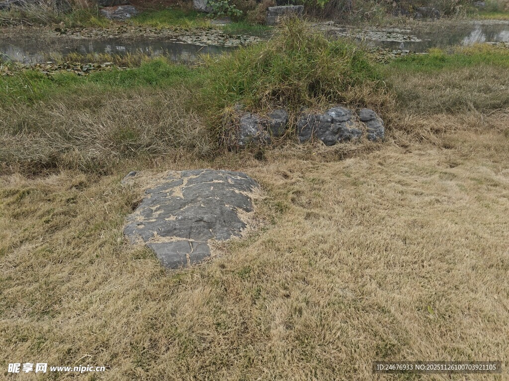 田野中的灰色大石