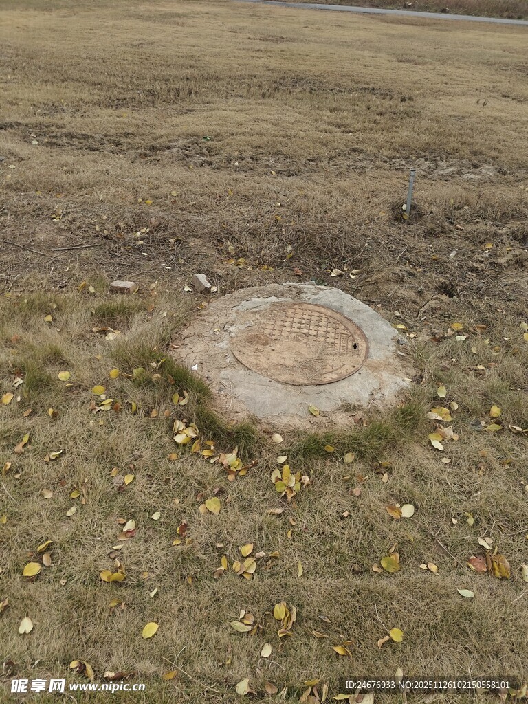 地面上的圆形石质物体