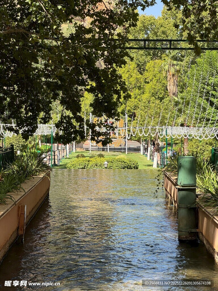 河畔绿荫下的宁静水道