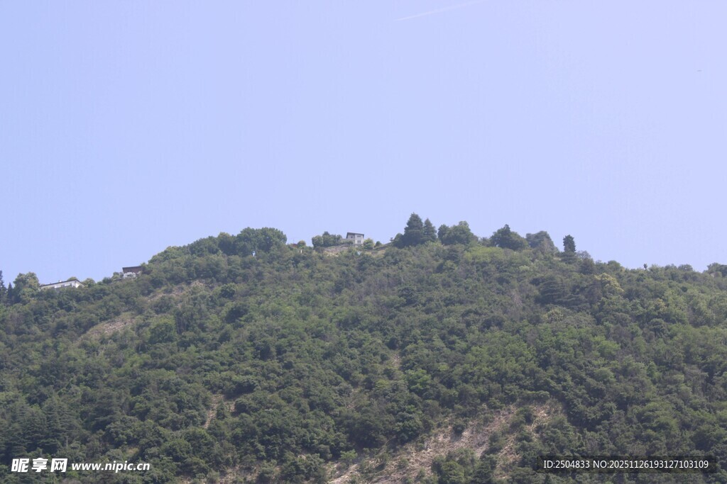 绿意盎然的山坡景色