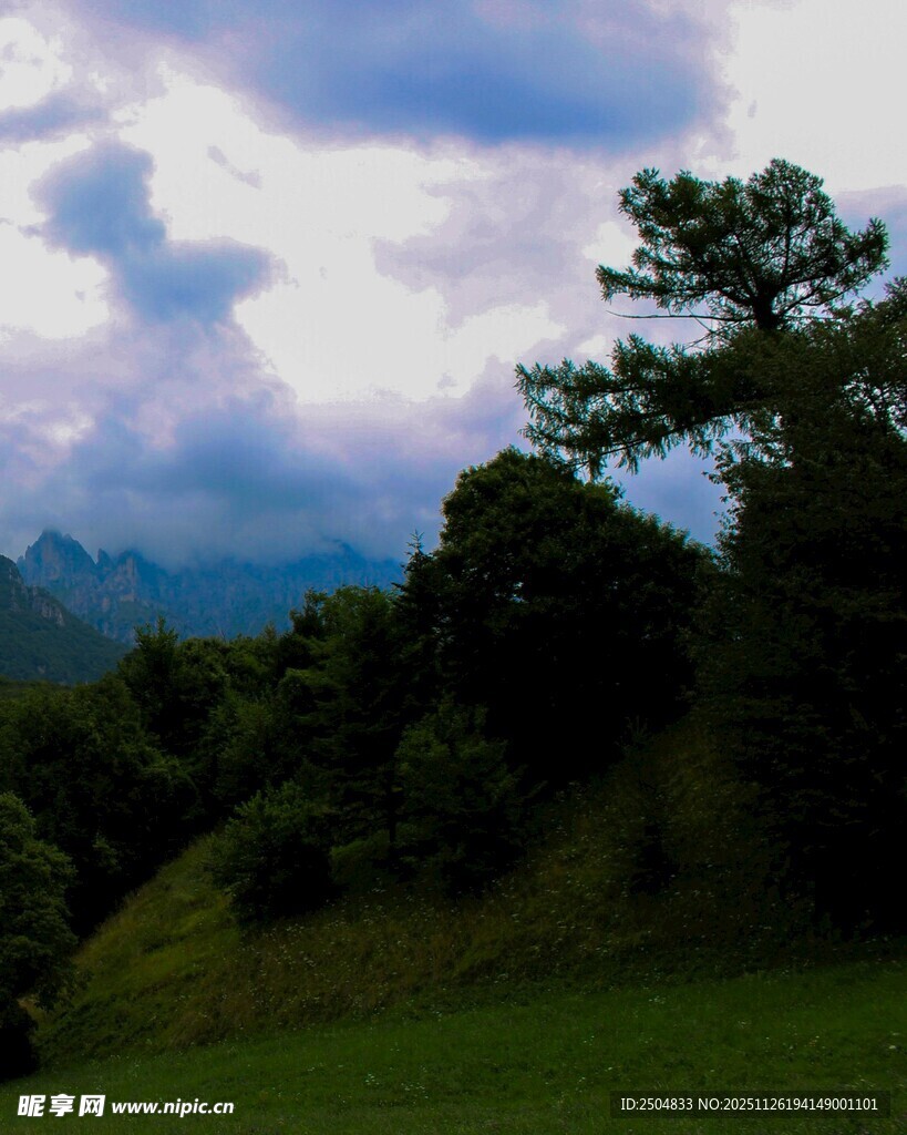 山间绿意与云端景致