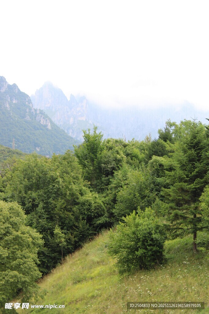 山间绿意盎然的自然风光