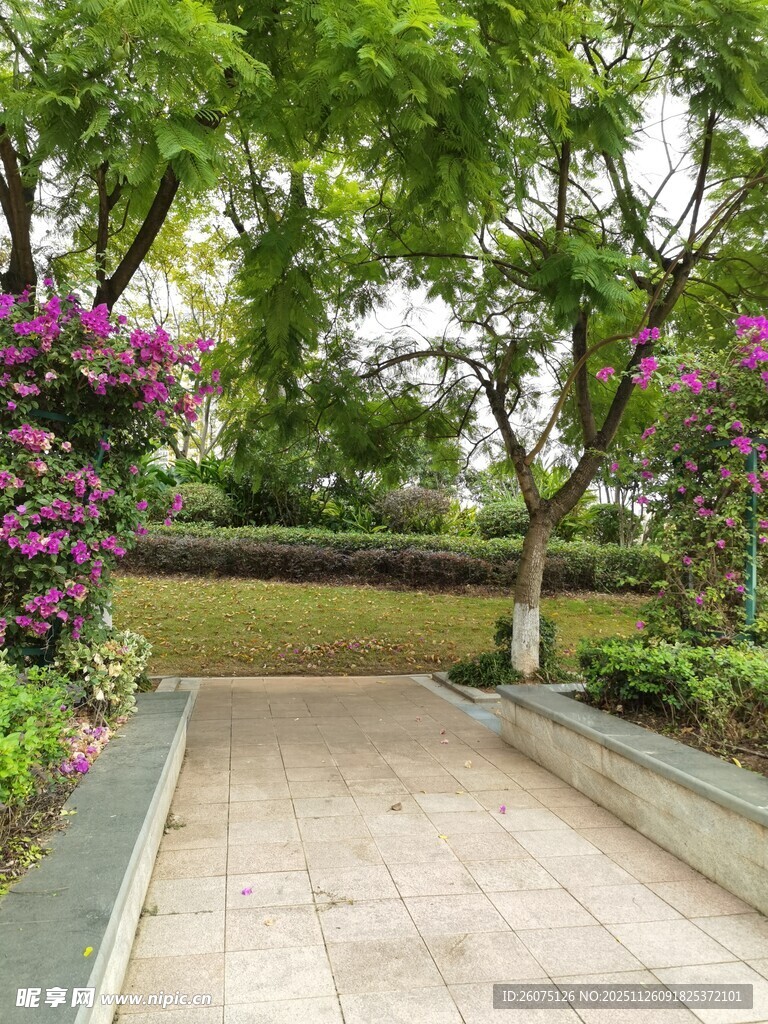 花园小径繁花绿树相伴