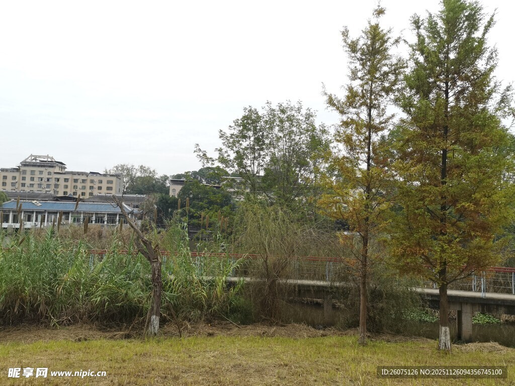 秋日户外自然景观