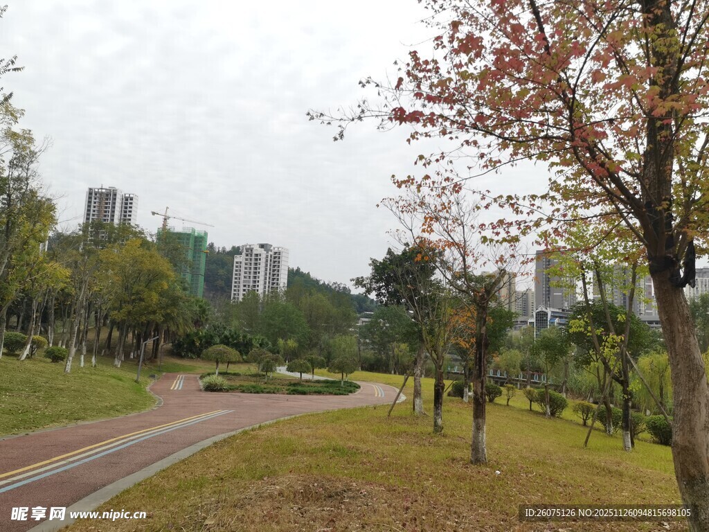 城市公园中的宁静小路