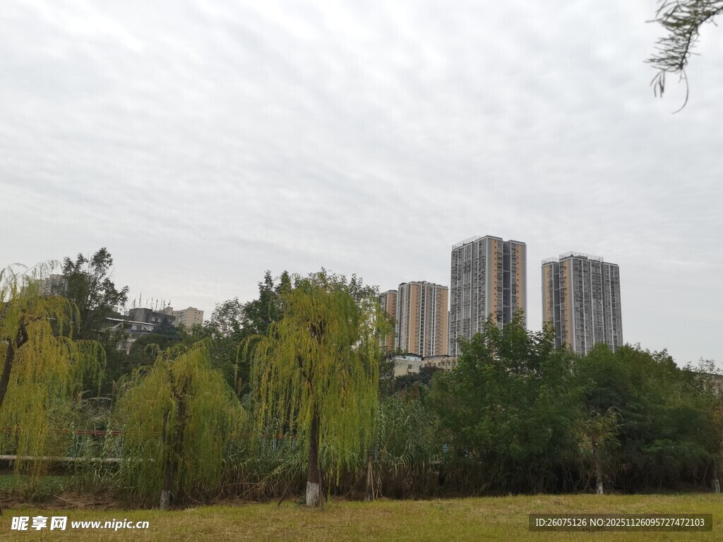 城市边的绿树草地景观