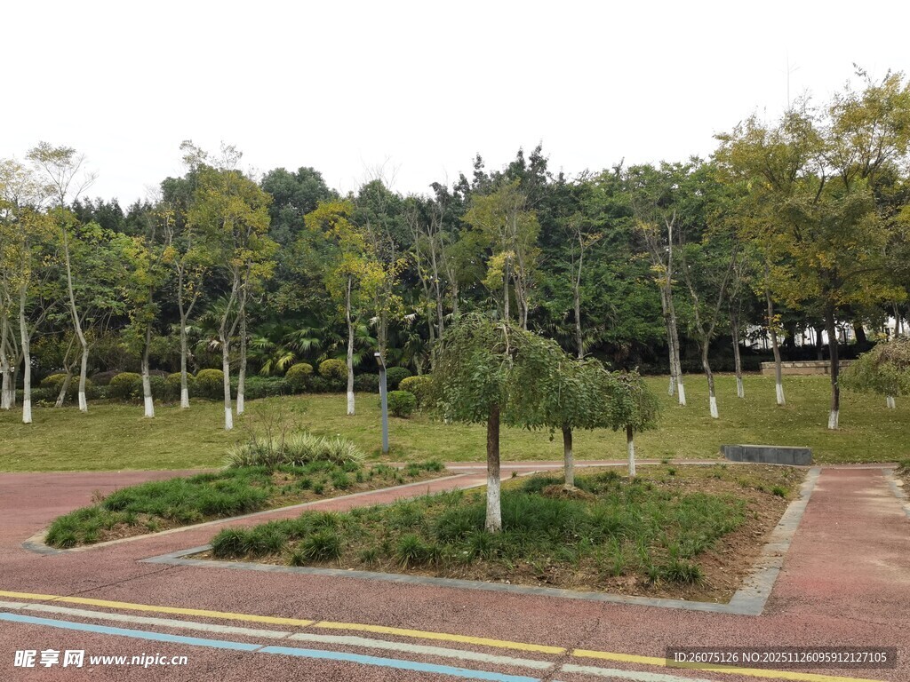 公园中的绿化景观