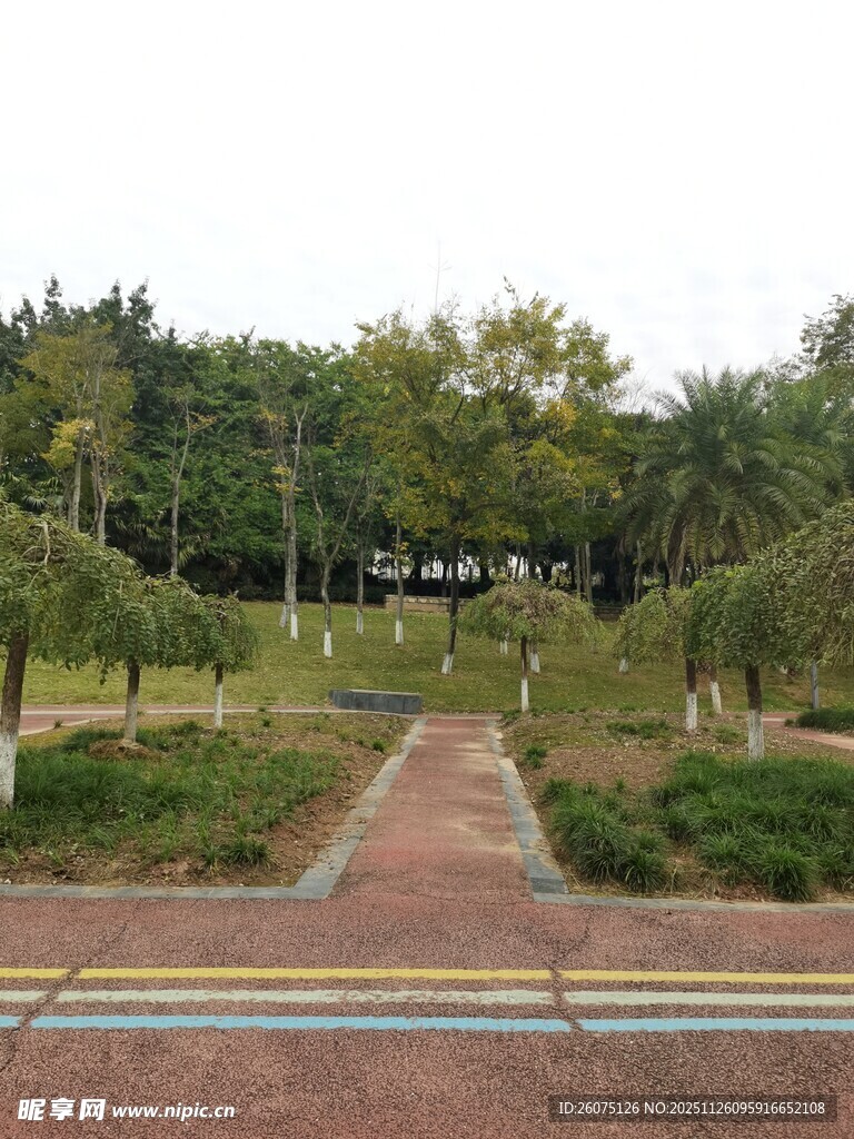 公园中的多彩步道与绿树