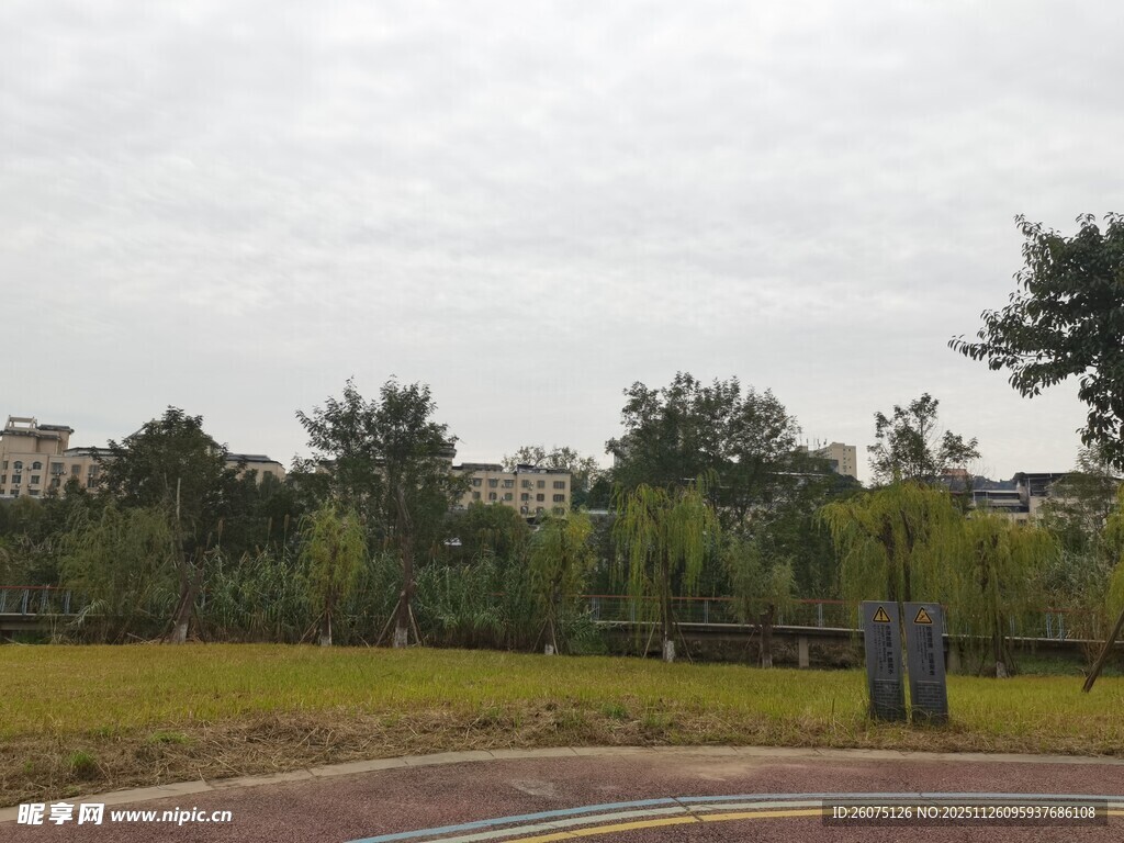 户外开阔绿地与树木景观