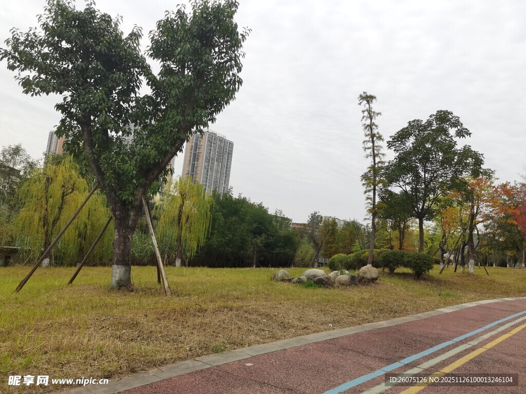 城市公园中的多彩步道景观