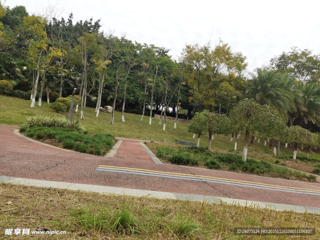 公园蜿蜒小径与绿植景观