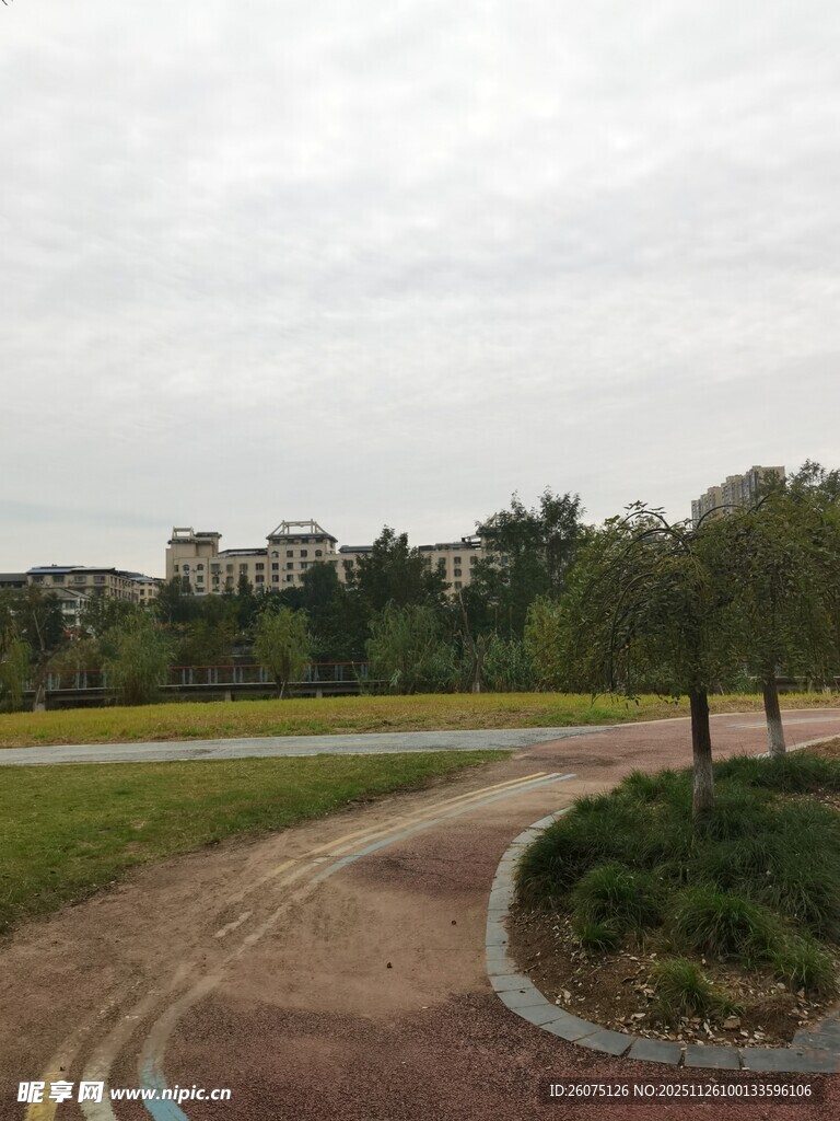 城郊蜿蜒小路与绿植景观