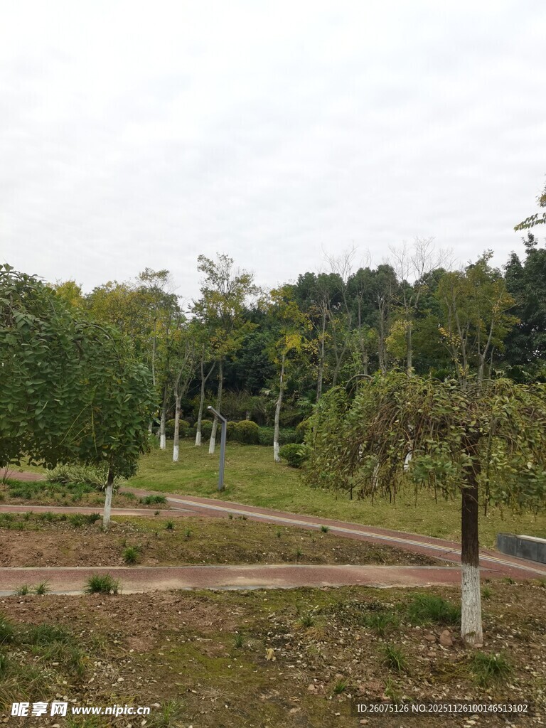 户外绿意盎然的园林景观