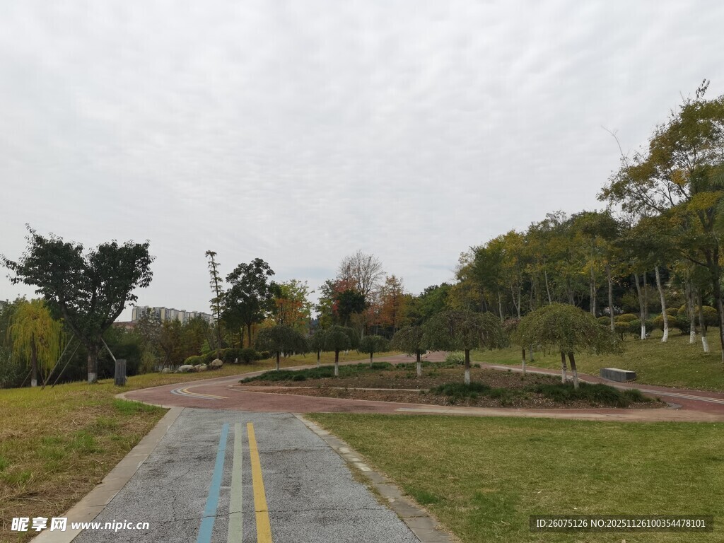 秋日林间的静谧骑行小路