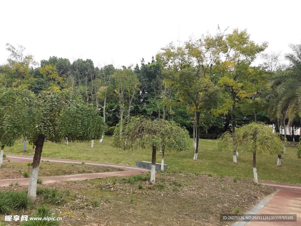 公园绿意盎然的休闲场景