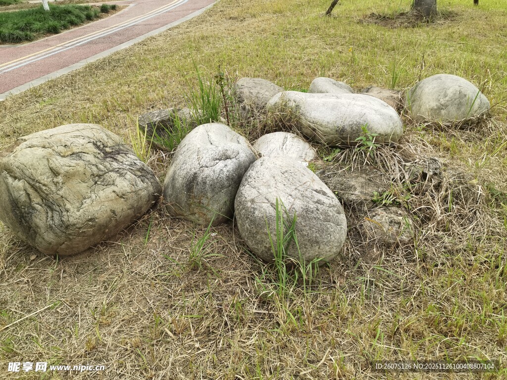 草地上的几块天然石头