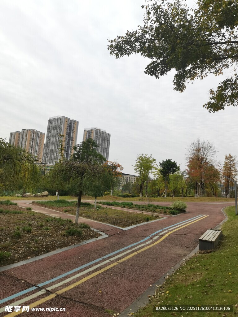 城市公园中的多彩步道景观