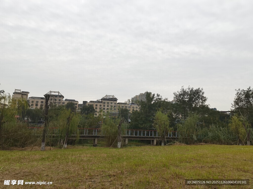 城郊草地与远处建筑群