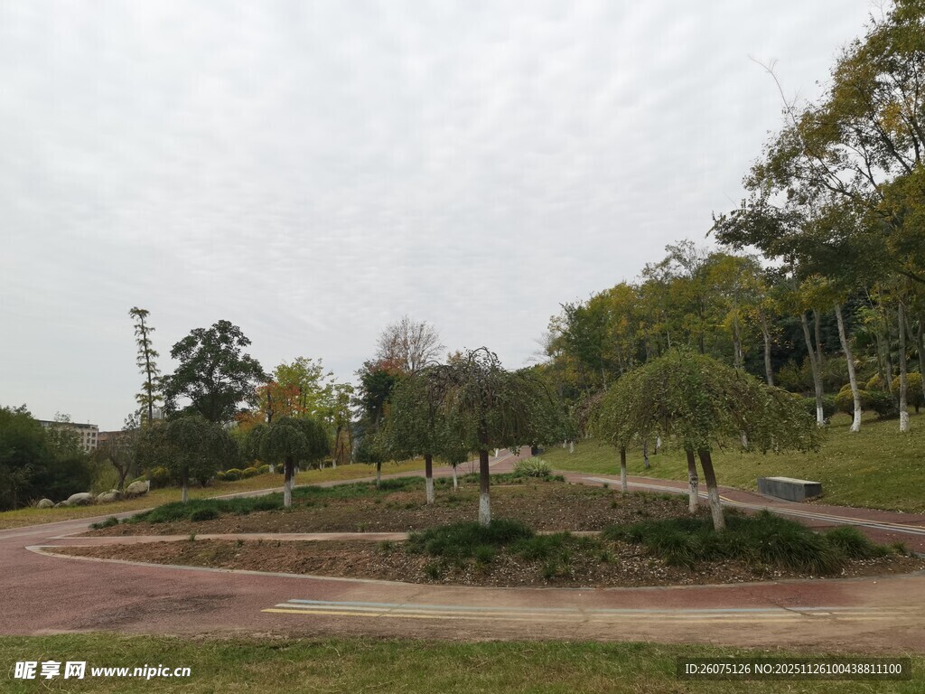 公园中的开阔休闲场景