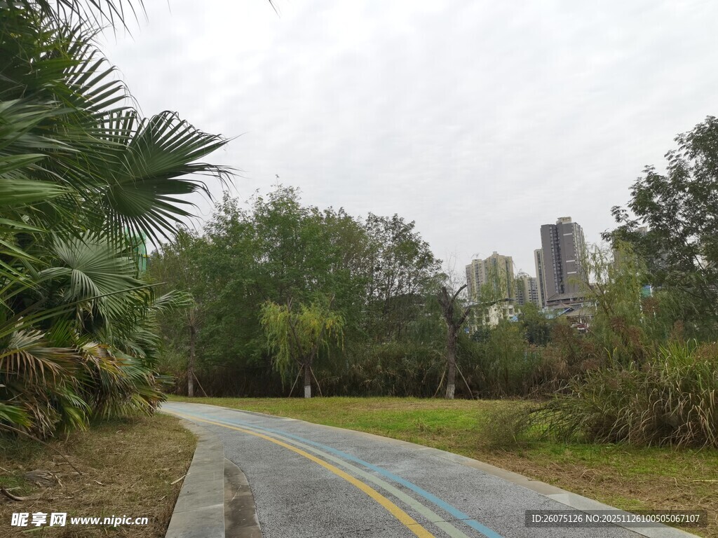 林间蜿蜒的多彩骑行小路