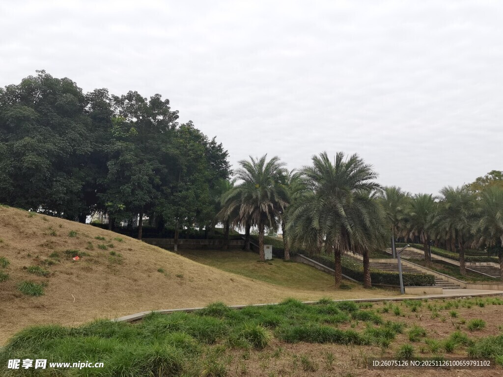 户外自然景观公园场景