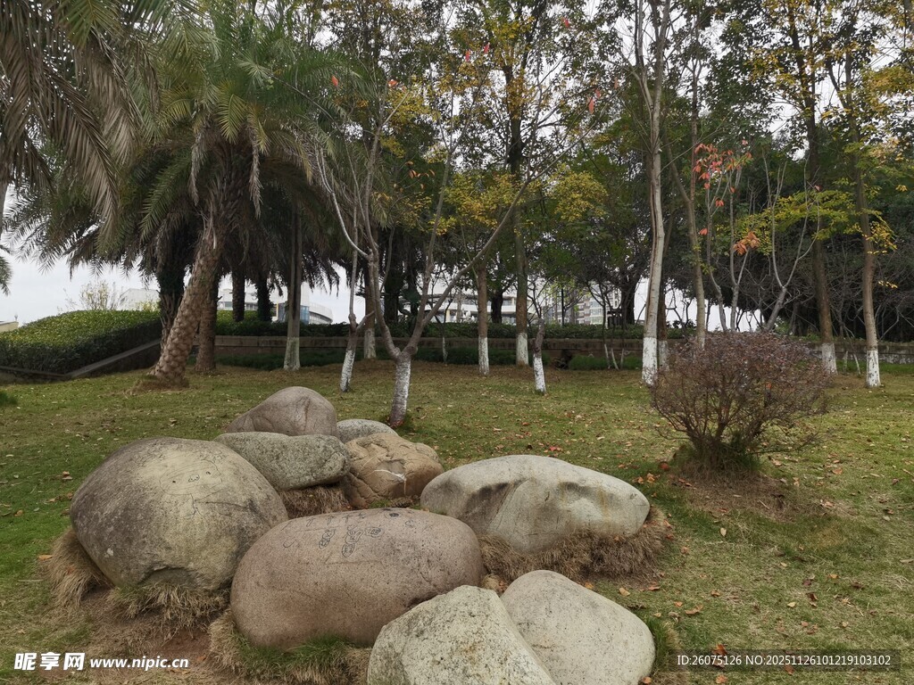 户外草地旁的自然大石景观