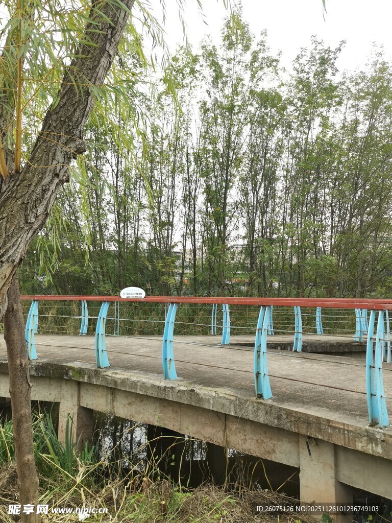 林间木桥自然静谧风景