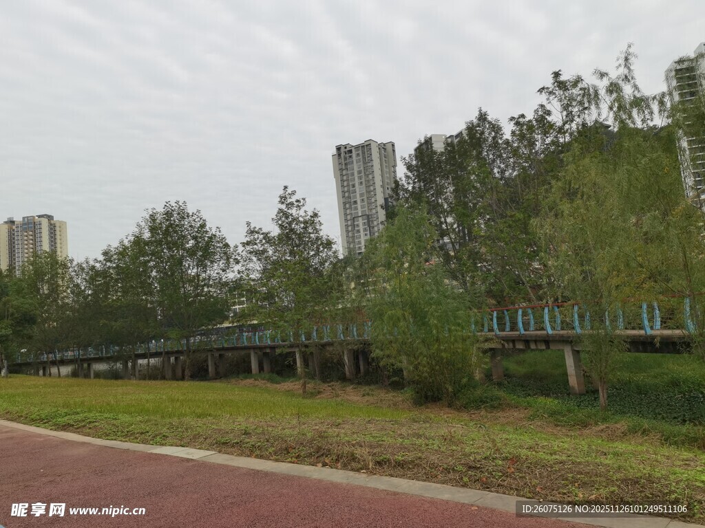 城市中的林荫步道景观