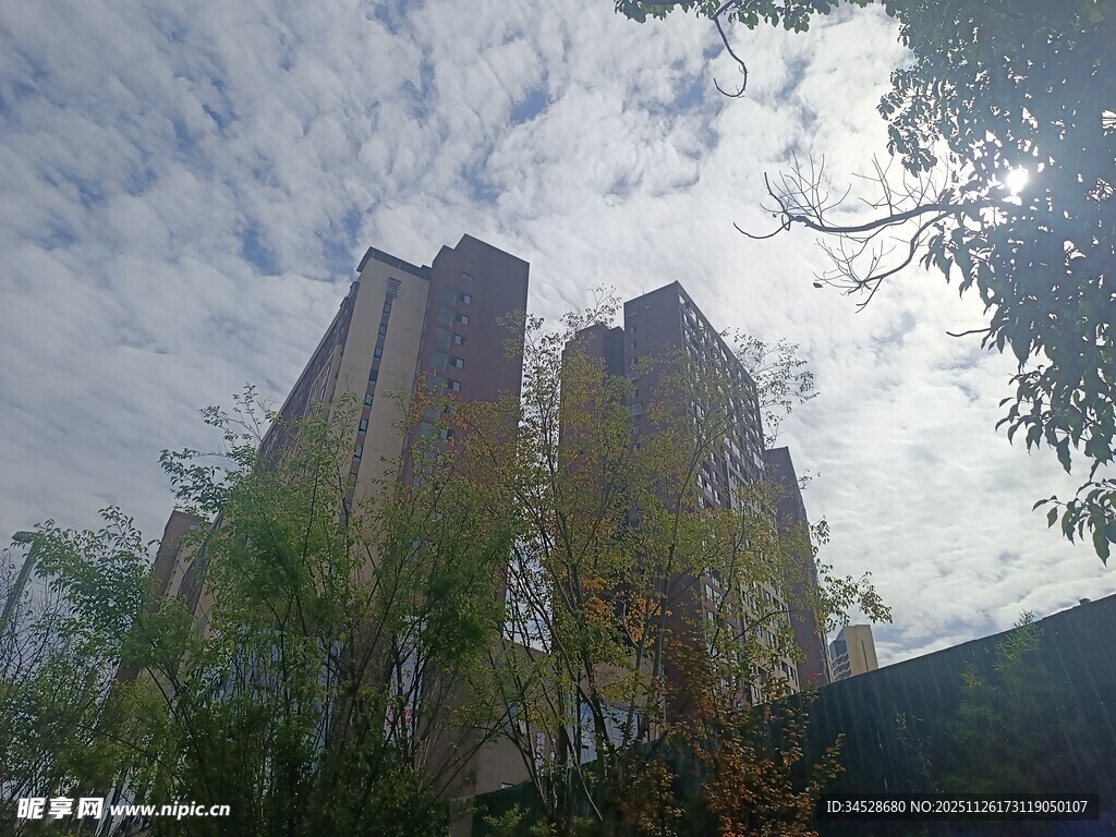 高楼与绿树间的天空景色