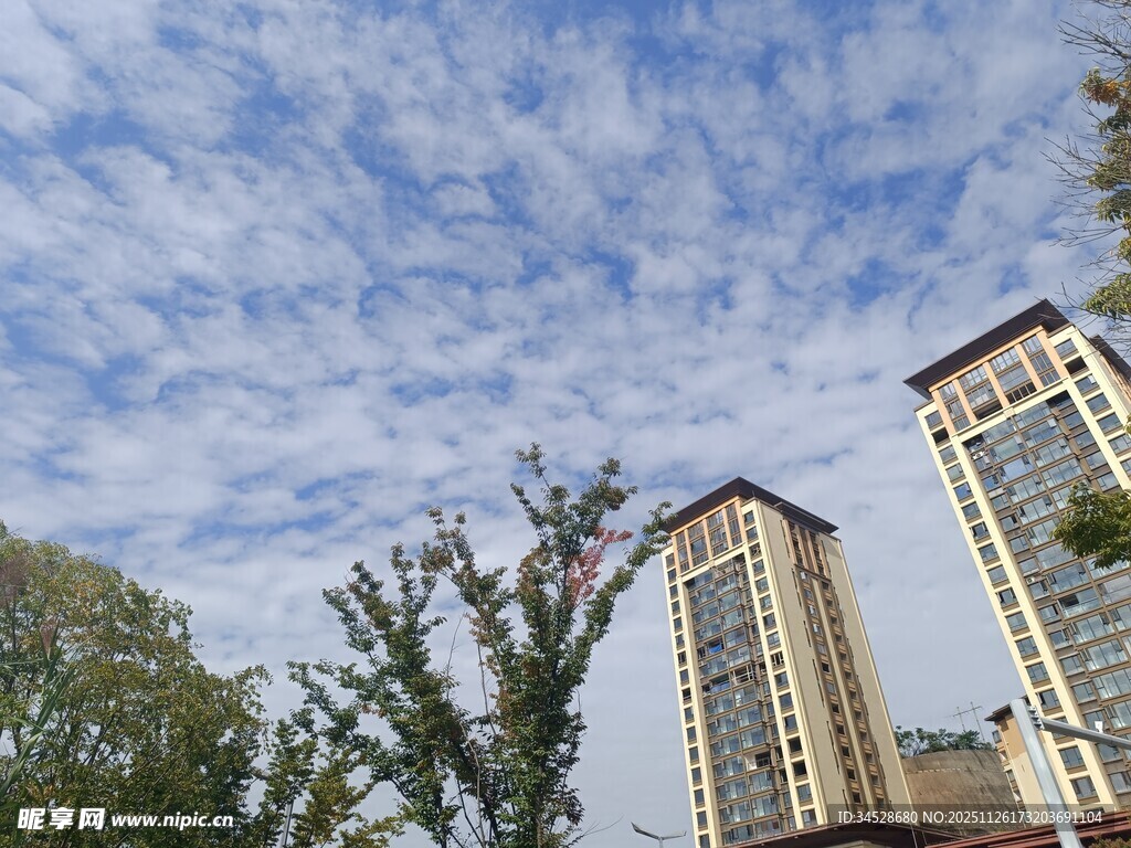 城市高楼与蓝天白云景观