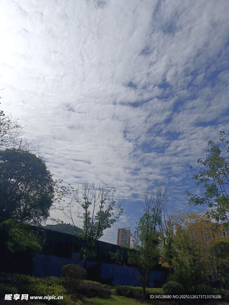 蓝天白云下的自然景致