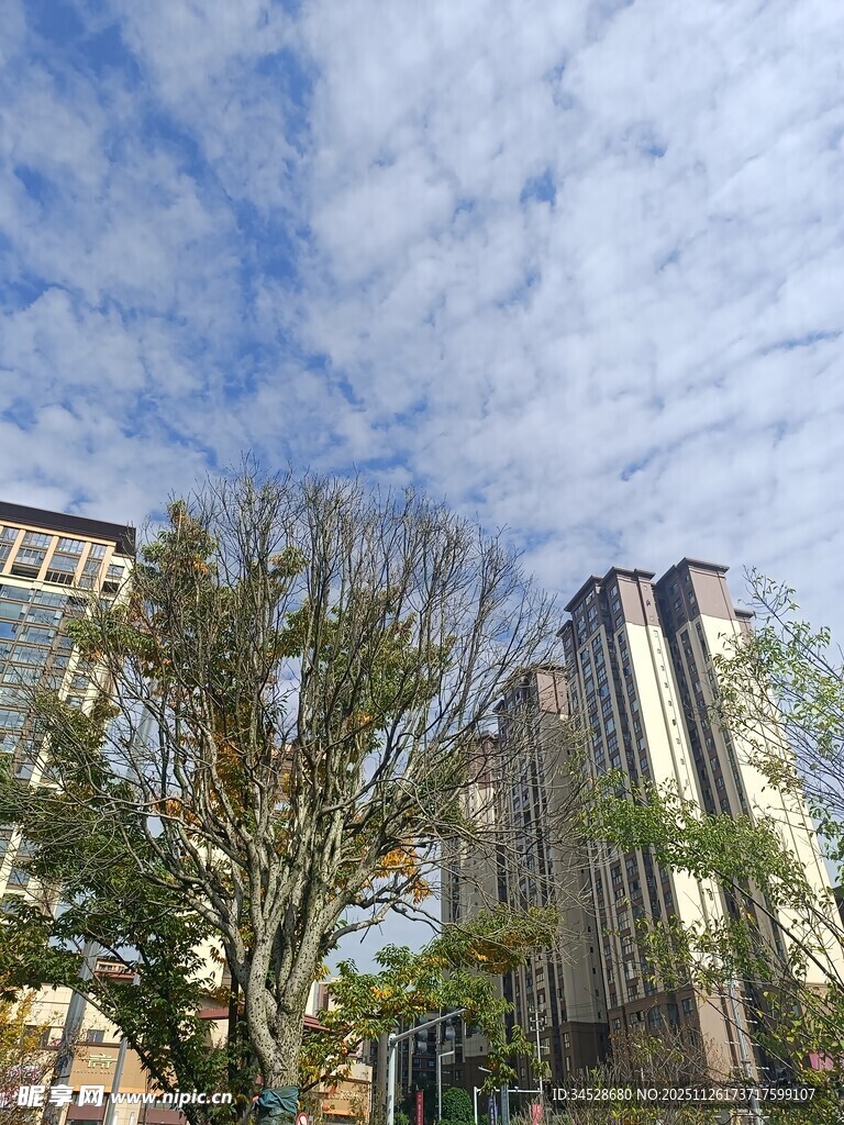 城市蓝天绿树高楼景象